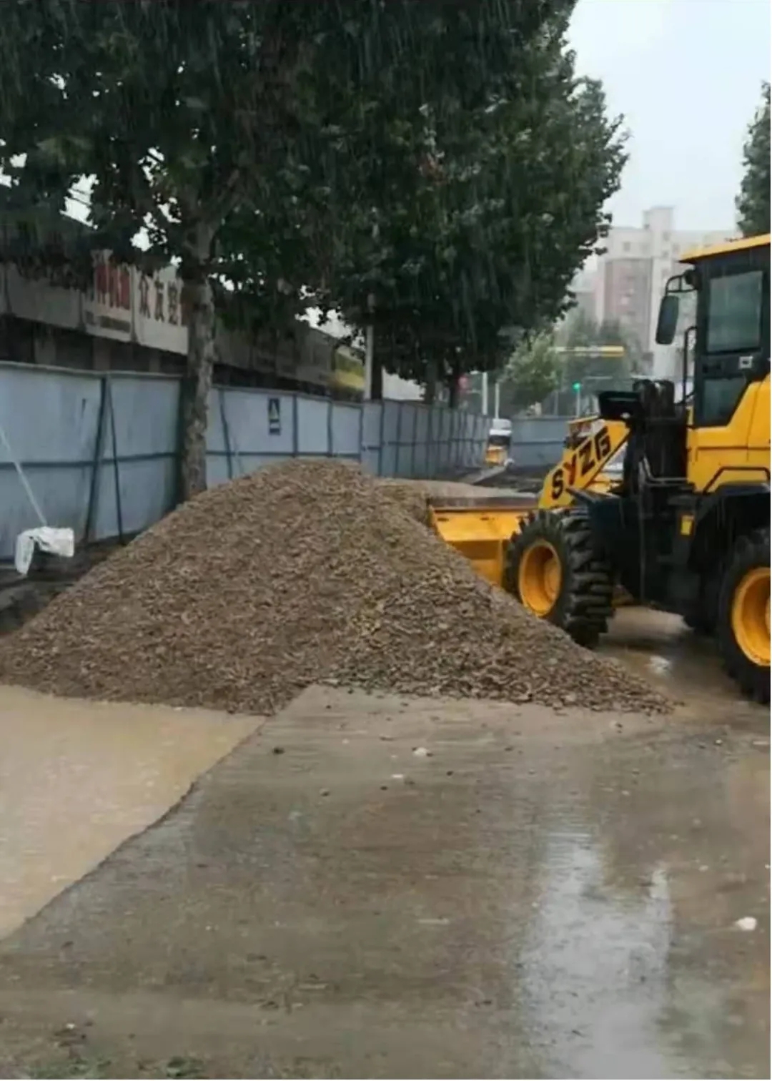 6405.webp.jpg 6405.webp.jpg